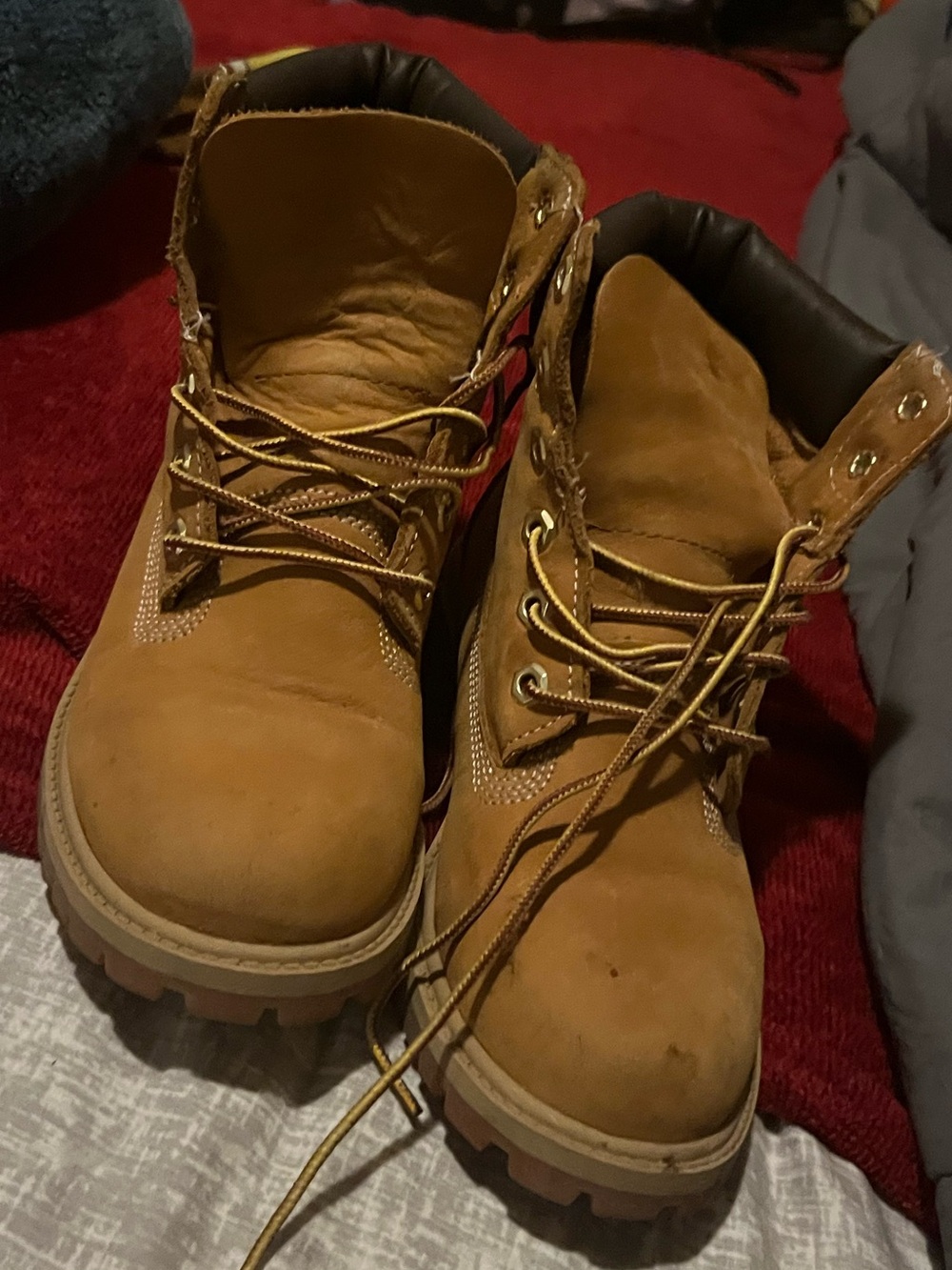 Timberland Junior's 6-Inch Premium Waterproof Boots Wheat